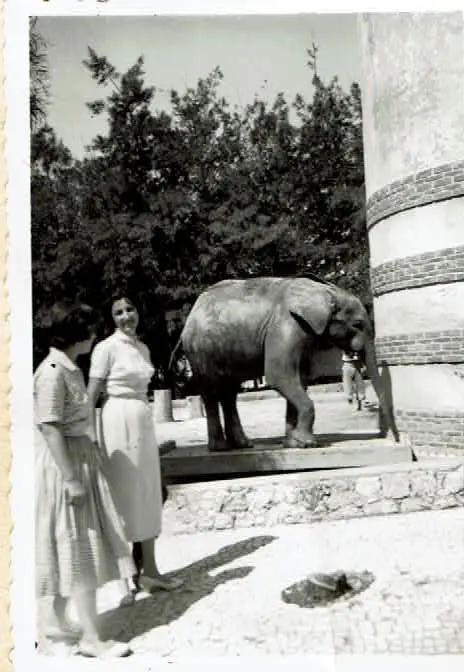 Excursión a Lisboa  - Zoo